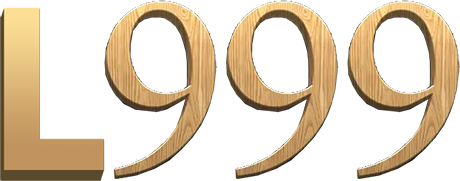 bdl999.net Logo